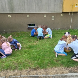 pokaż obrazek - Trzy grupy dzieci kucają przy miskach wypełnionych piaskiem i szukają monet. W tle budynek i trawa.